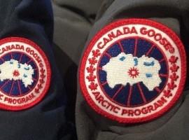 加拿大鹅的抢购潮是好奇心引起的饥饿营销吗？