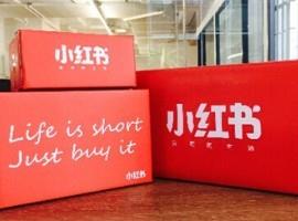 小红书下架背后：曾爆虚假种草笔记