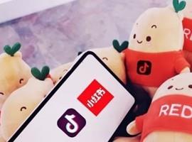 网红带货遇上强监管，抖音小红书短期阵痛后仍受益